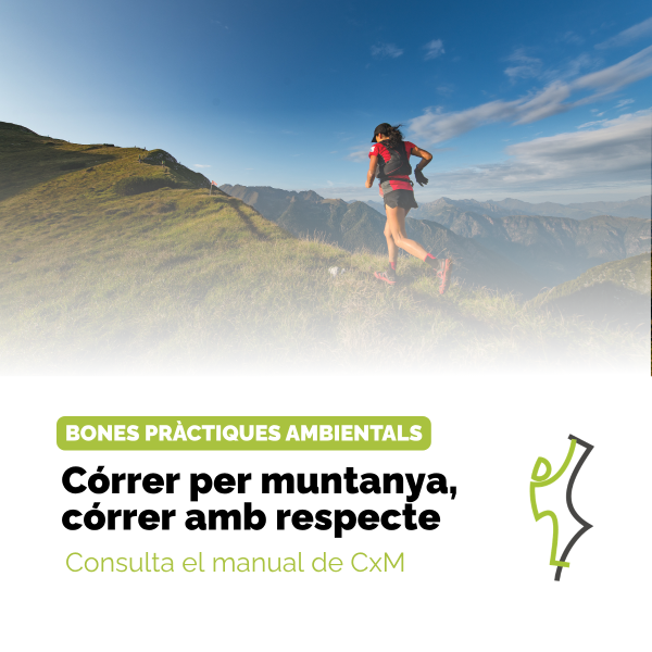Portada Noticia