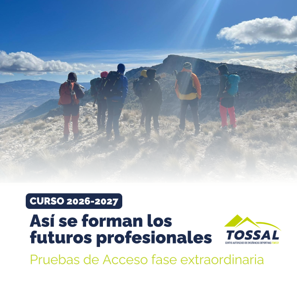 Portada Noticia