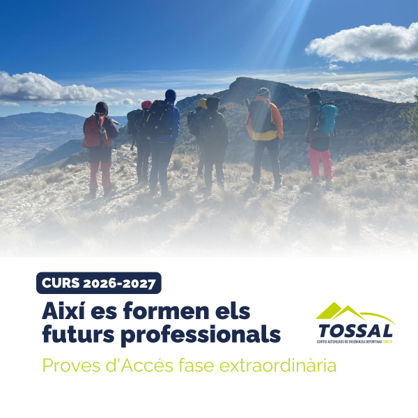 Portada Noticia