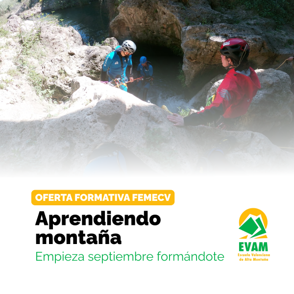 Portada Noticia