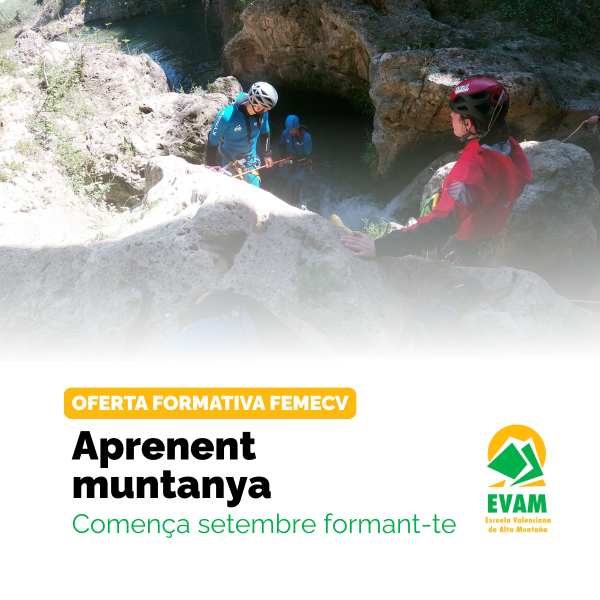 Portada Noticia