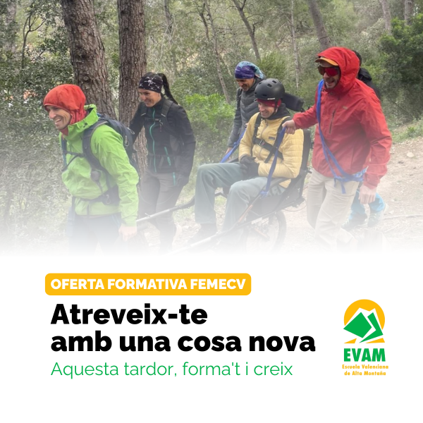 Portada Noticia