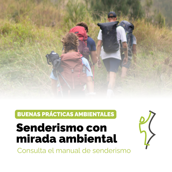 Portada Noticia