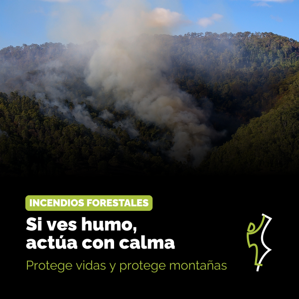 Portada Noticia