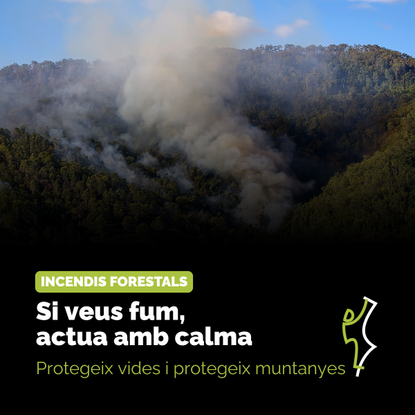 Portada Noticia
