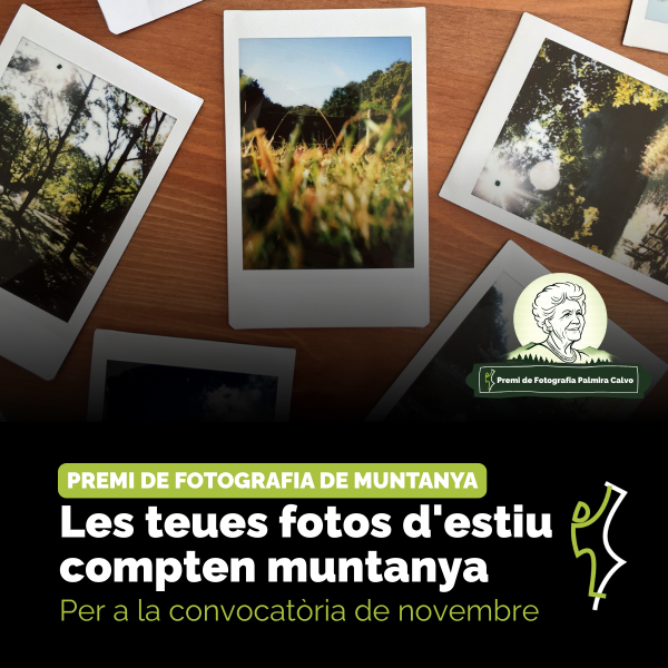 Portada Noticia