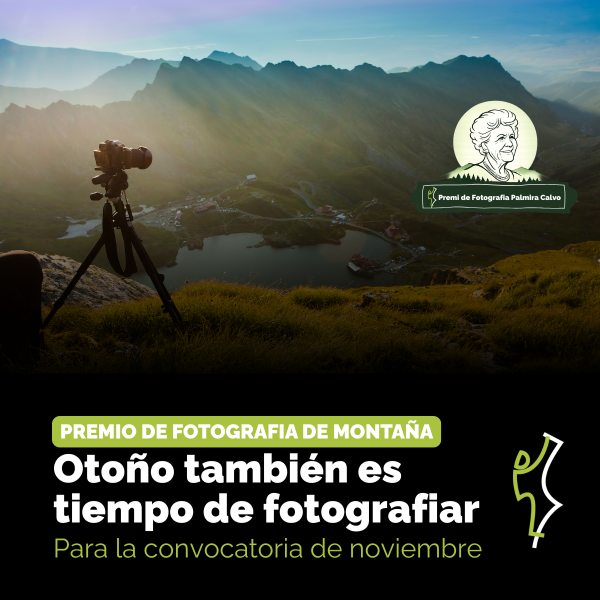 Portada Noticia