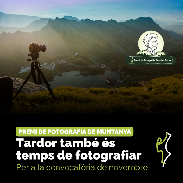 Portada Noticia