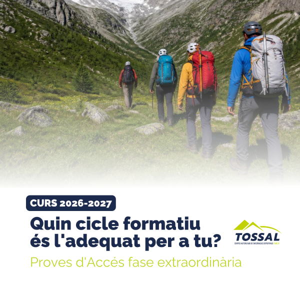Portada Noticia