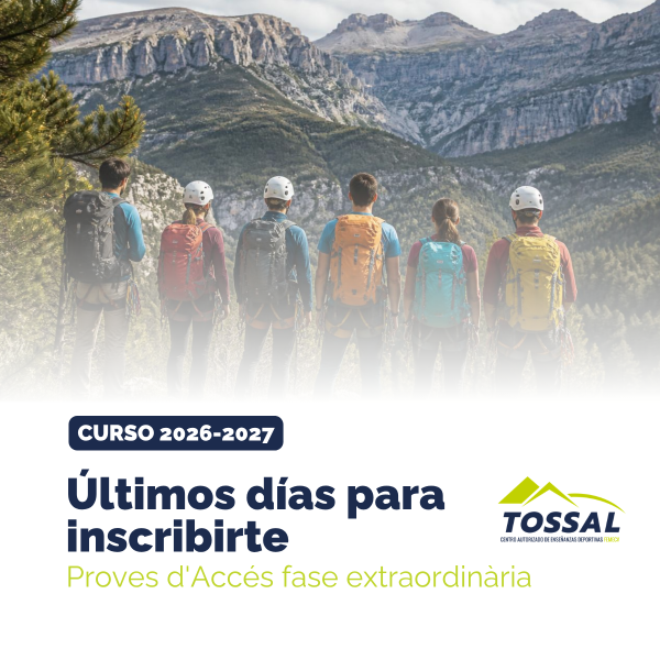Portada Noticia