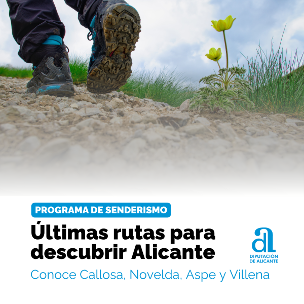 Portada Noticia