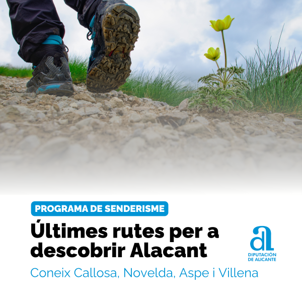Portada Noticia