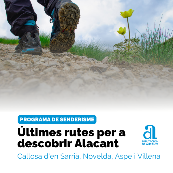 Portada Noticia
