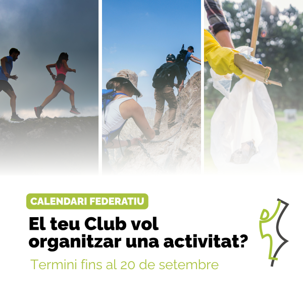 Portada Noticia