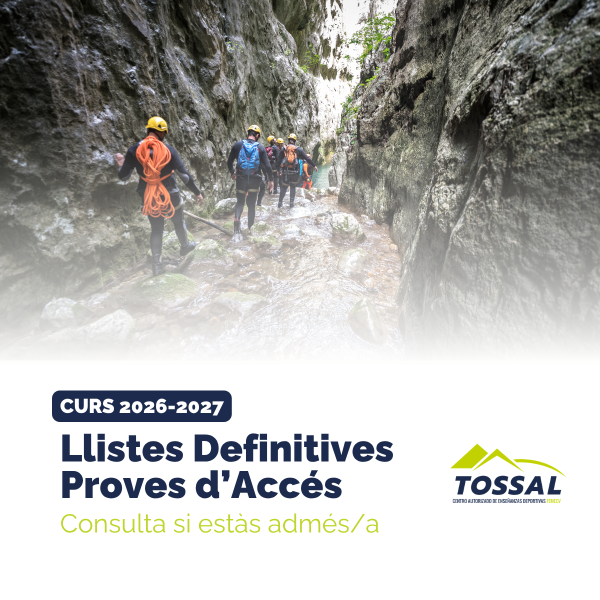 Portada Noticia