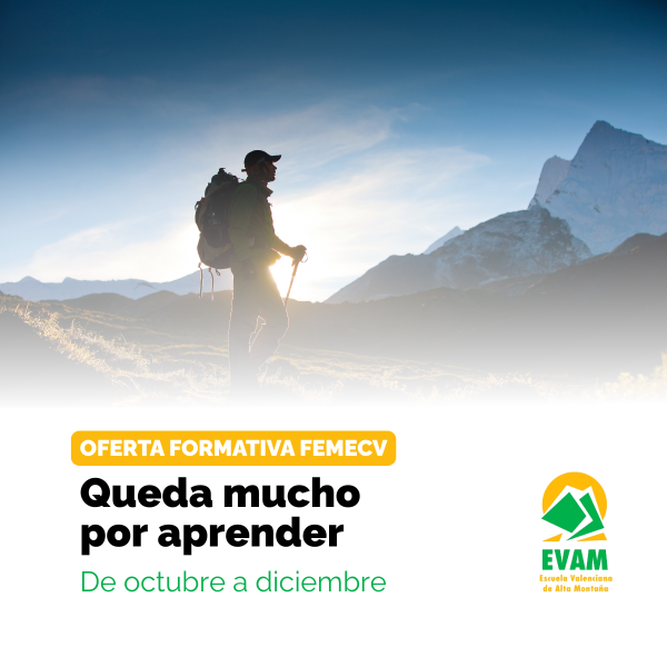 Portada Noticia