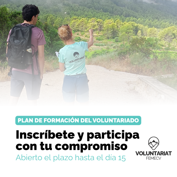 Portada Noticia