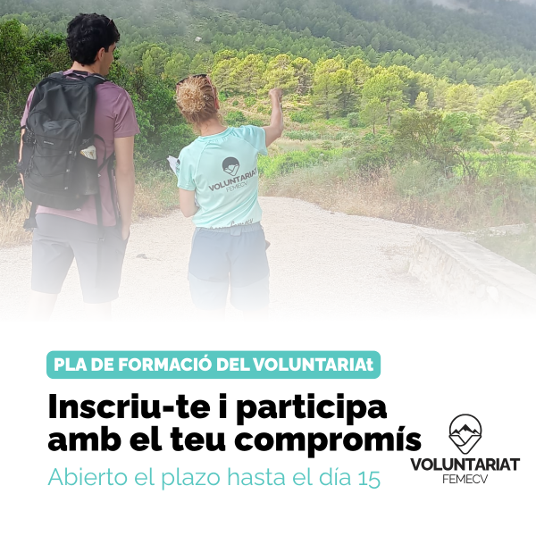 Portada Noticia