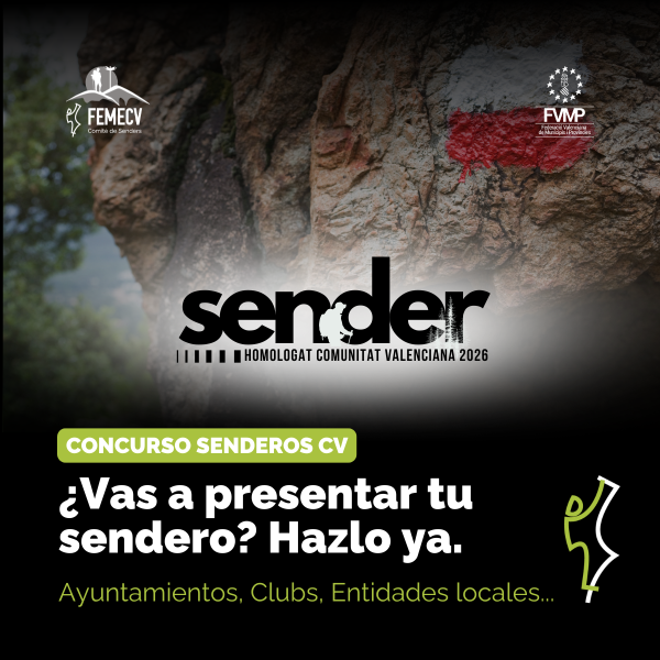 Portada Noticia