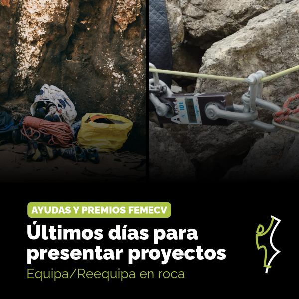 Portada Noticia