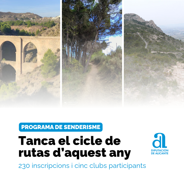 Portada Noticia