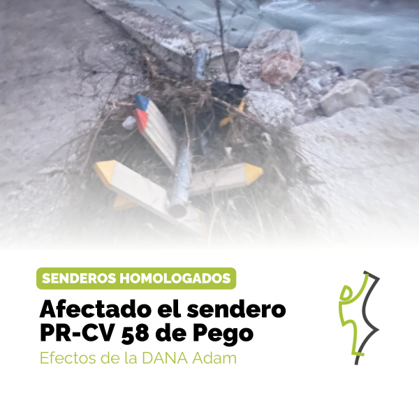 Portada Noticia