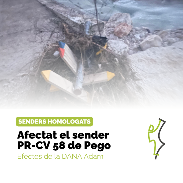 Portada Noticia