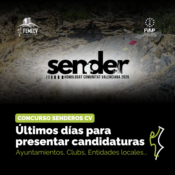 Portada Noticia