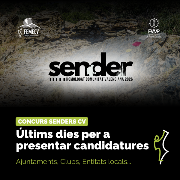 Portada Noticia