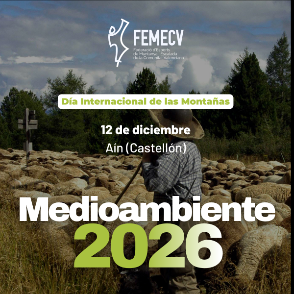 Portada Noticia