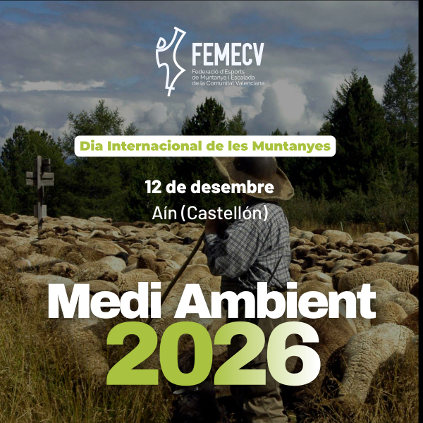 Portada Noticia