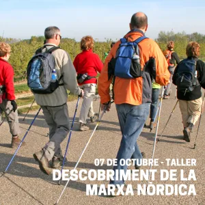 CURS D'ESCALADA EN VIES EQUIPADES DE DIVERSOS LLARGS 2023