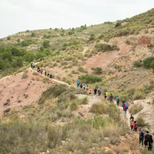 Caminos tradicionales