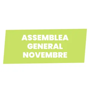 Assamblea General Novembre