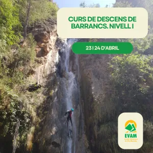 DESCENS DE BARRANCS NIVELL I 2024