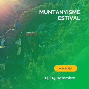 Muntanyisme