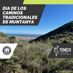 espacios 2024