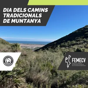 Caminos tradicionales 2024