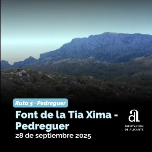 Portada Noticia