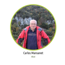 Carlos Mansanet